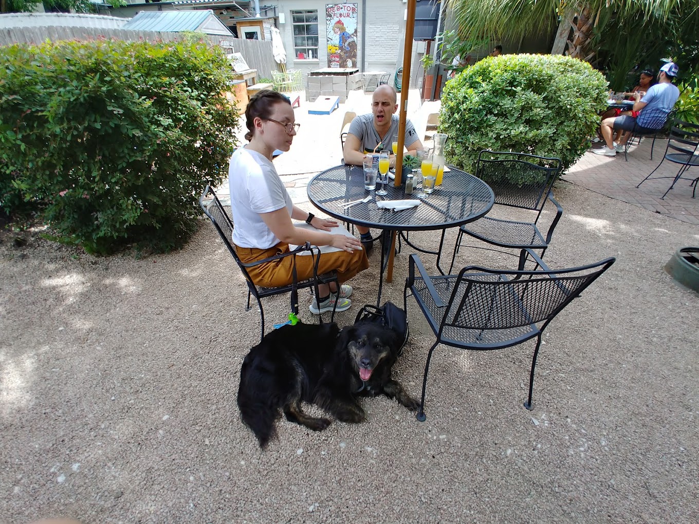 Piggy's Kitchen & Bar | Pet Friendly Restaurant