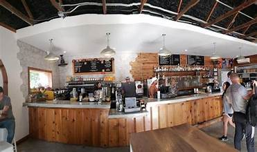 Austin's Premier Dog Friendly Restaurant: Cosmic Pickle