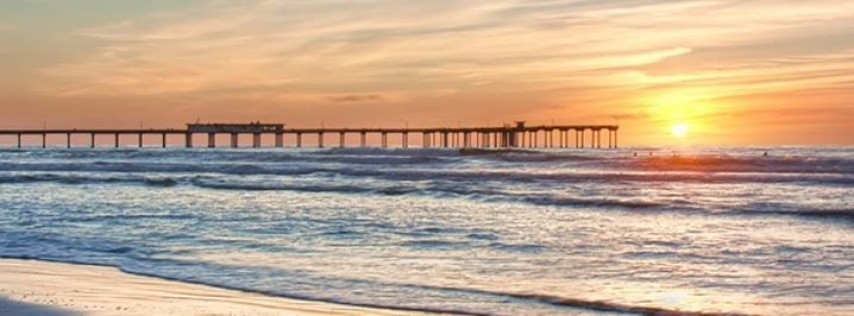 Dog Friendly Haven in San Diego: Daybreak Island Grill