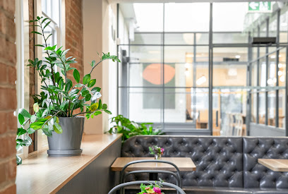 The Best Dog Friendly Coffee Shops Near You: Pip