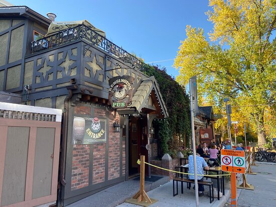 Cafes Where Dogs are Welcome: Kensington Pub