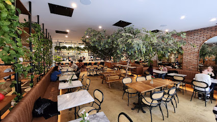 PIGEON CAFÉ: A Dog Welcoming Patio in Montreal