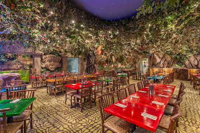 Rainforest Cafe: Unveiling Hidden Gems Near You!