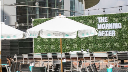 The Morning After: Discover Pet-Friendly Dining Gems!