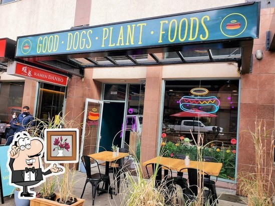 Good Dogs Plant Foods: Special Offers at Best Pet-Friendly Restaurants!