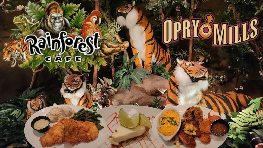 Rainforest Cafe Food