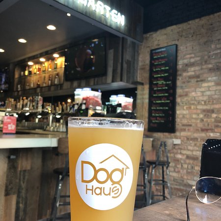 Dog Haus Biergarten