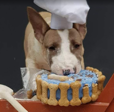 Lynians DOG FRIENDLY Café