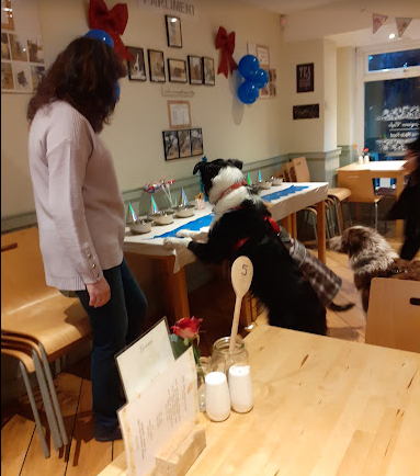 Lynians DOG FRIENDLY Café