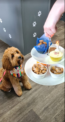 Barking Blends Coffee House