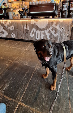 Black Sheep Coffee