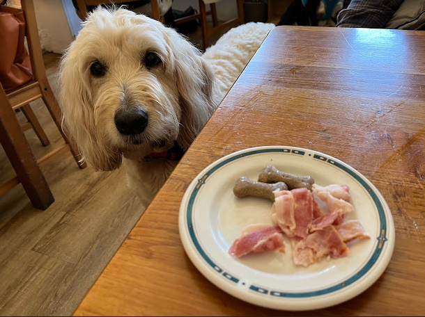 Darnley Coffee House